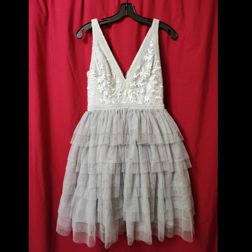 Boutique 1861 Dress